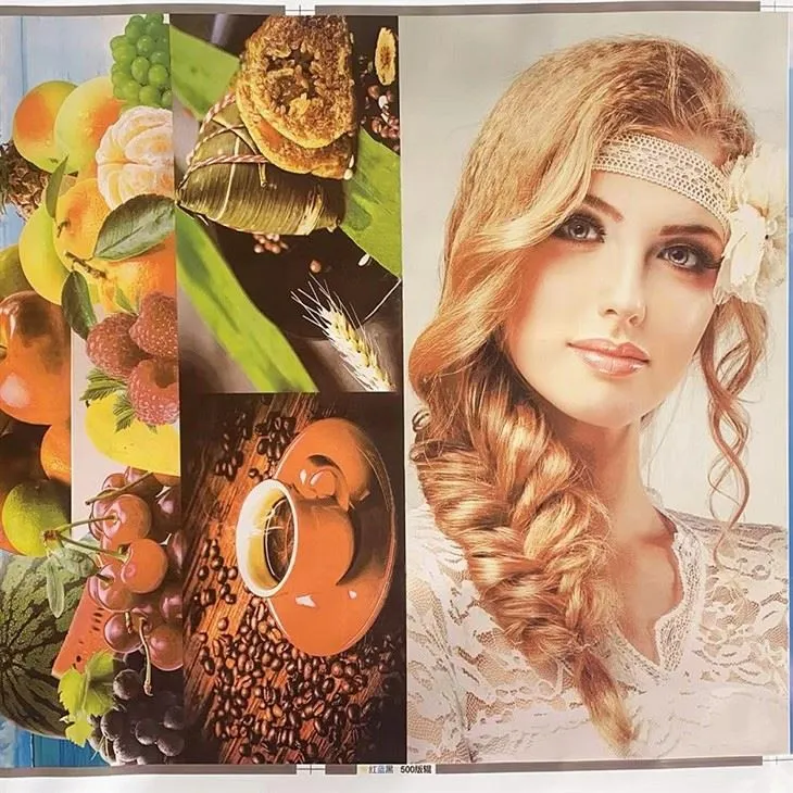 CI6 Printer Details 3(001)